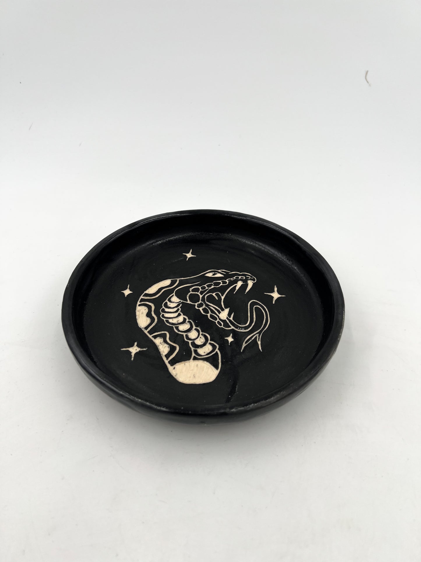 Snake Dish