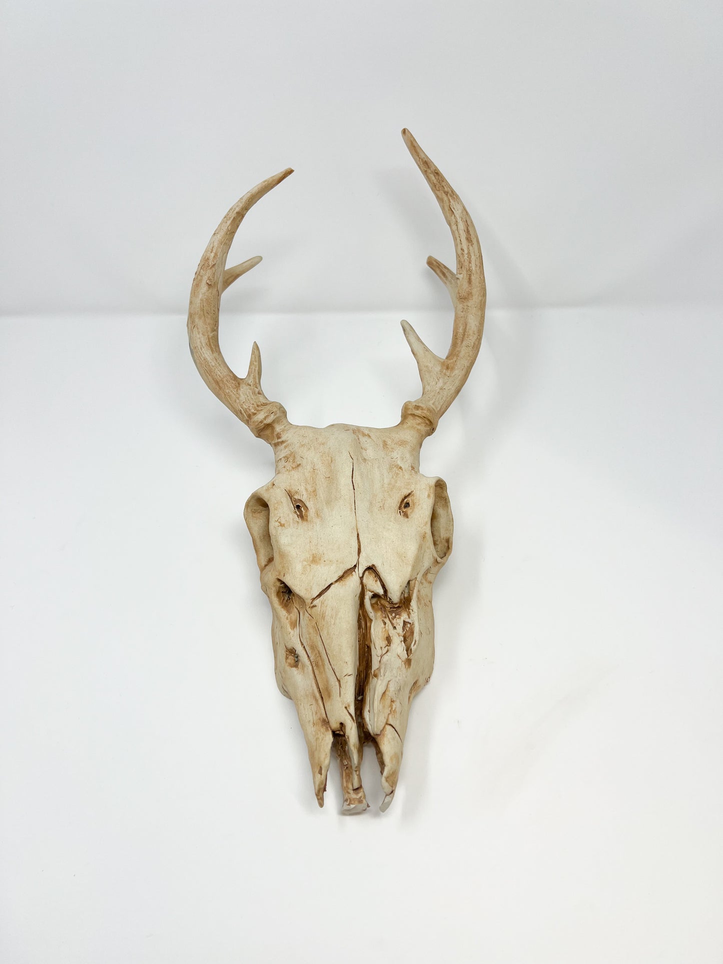Vegan Deer Skull the Second