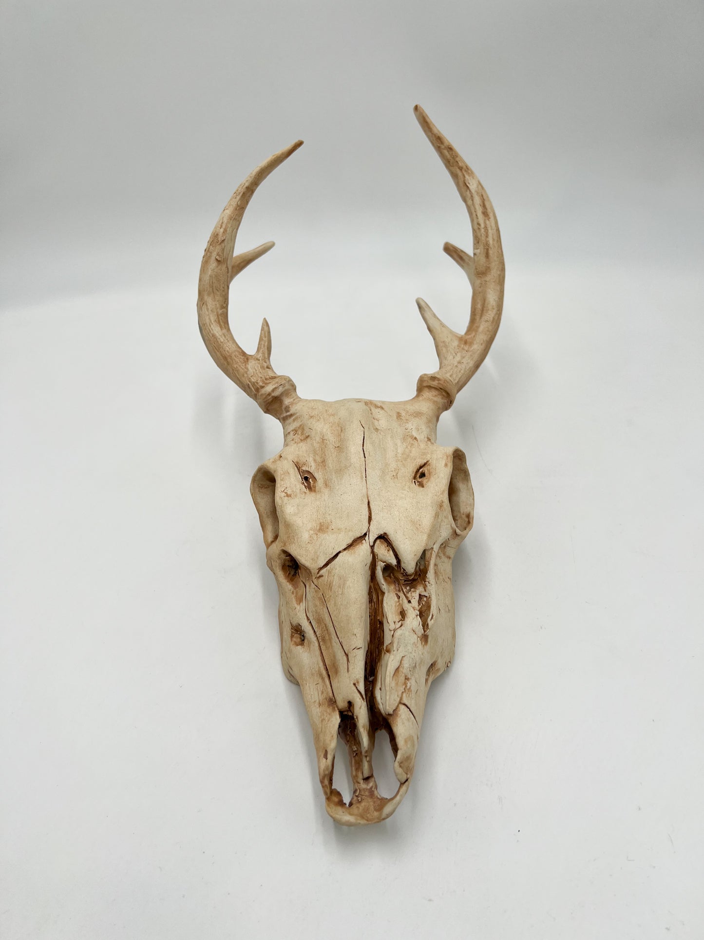 Vegan Deer Skull