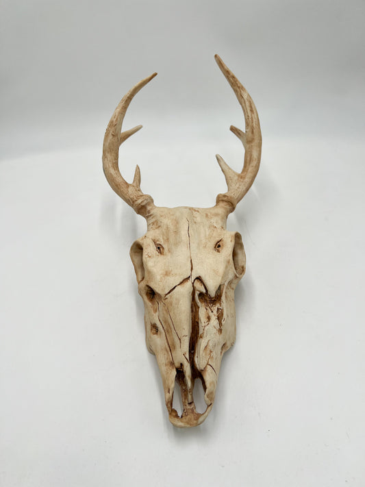 Vegan Deer Skull