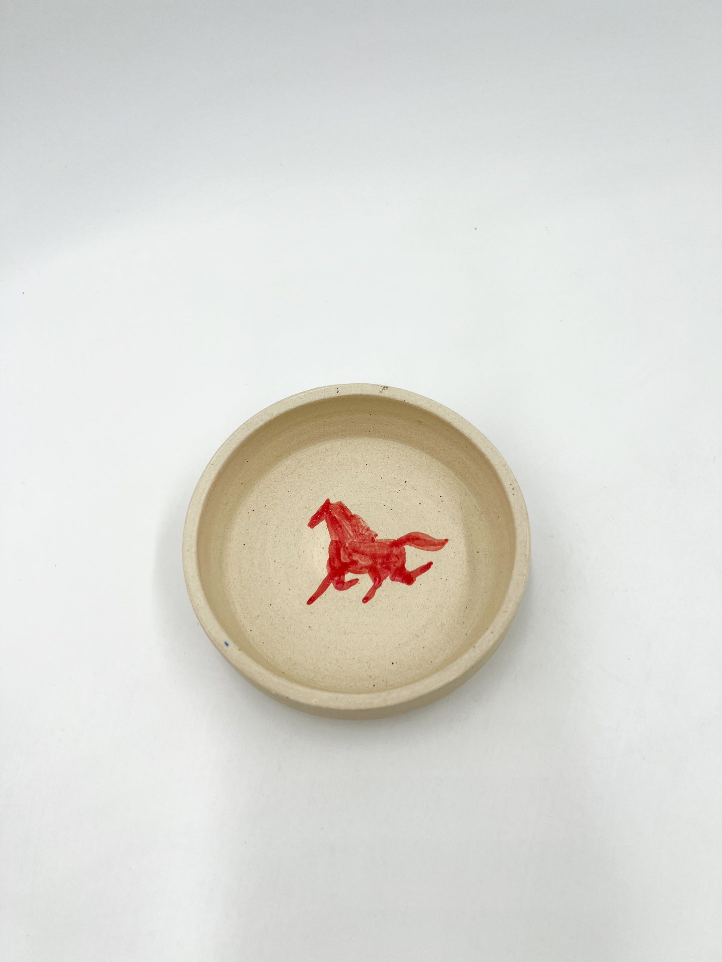 Red Horse in the Wind Dish